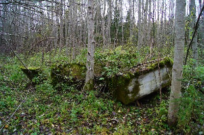 Остатки наблюдательноко пункта пво под Пярну