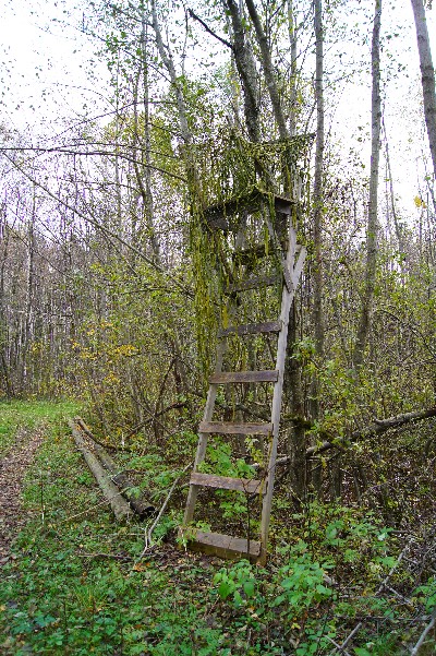 Остатки наблюдательноко пункта пво под Пярну