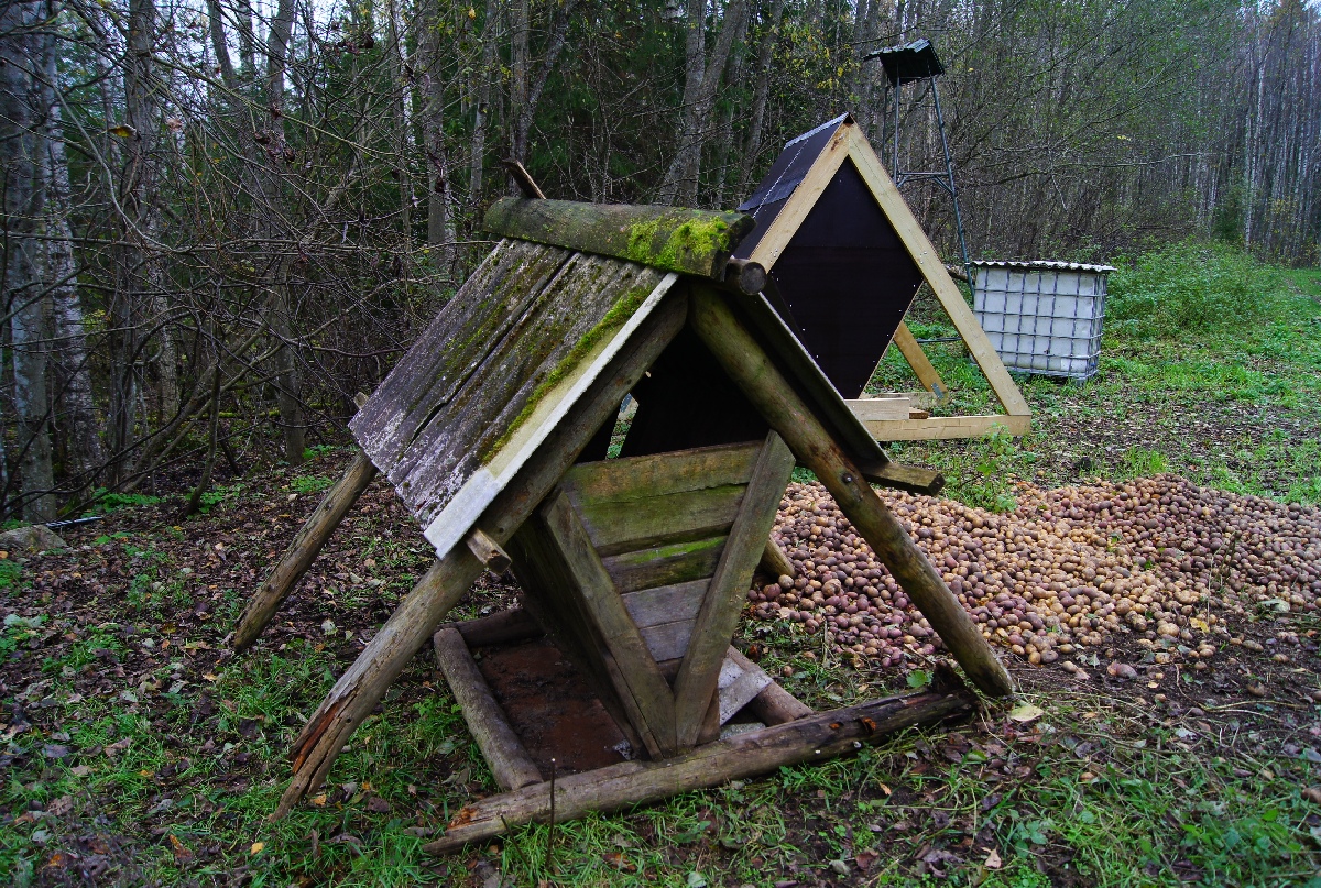 Кормушка для зверей. Наблюдательный пункт пво в Кикепера. 