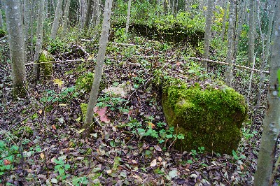 Остатки наблюдательноко пункта пво под Пярну