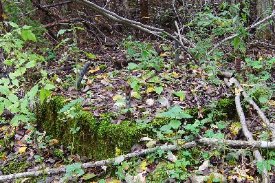 Остатки наблюдательноко пункта пво под Пярну