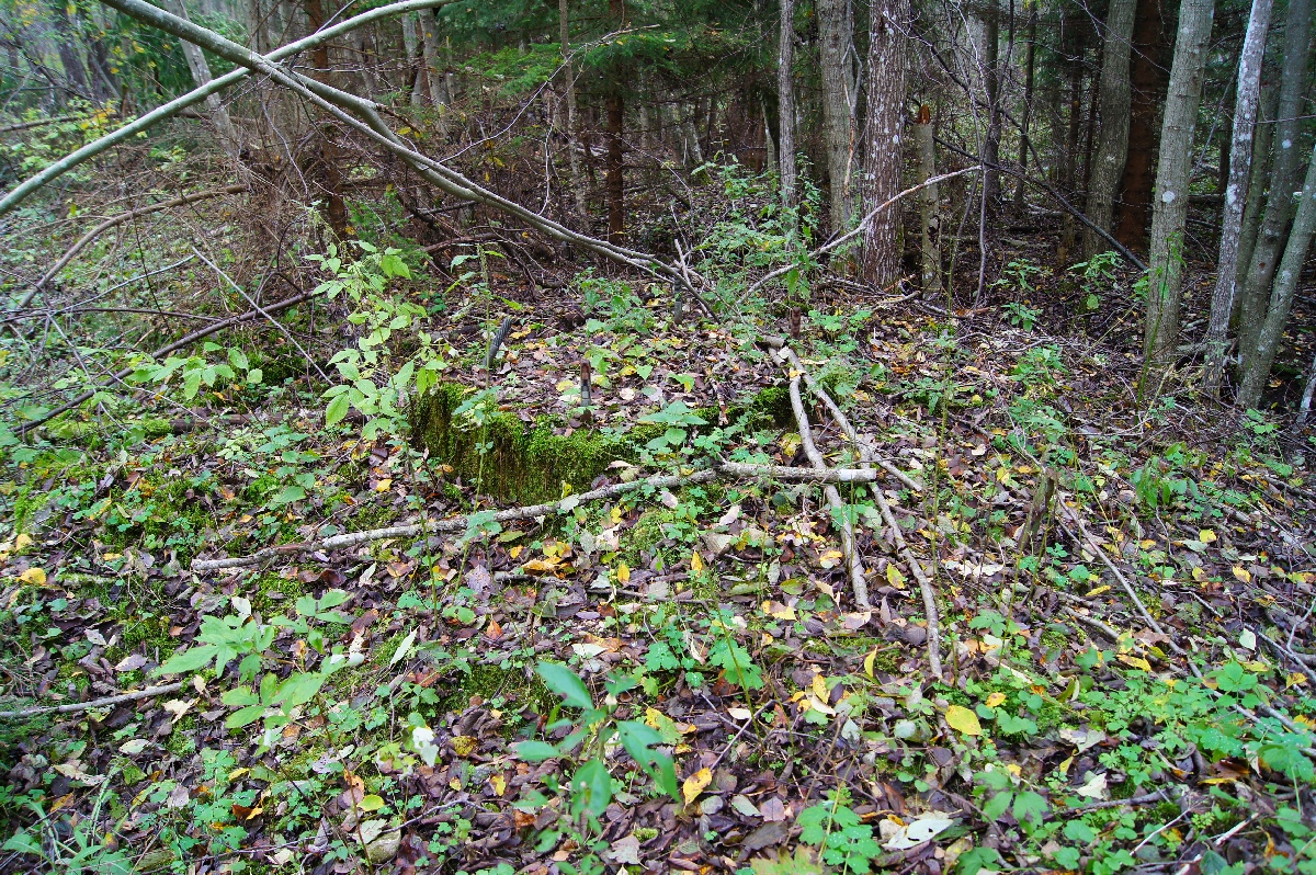  Наблюдательный пункт пво в Кикепера. 