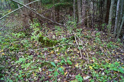 Остатки наблюдательноко пункта пво под Пярну