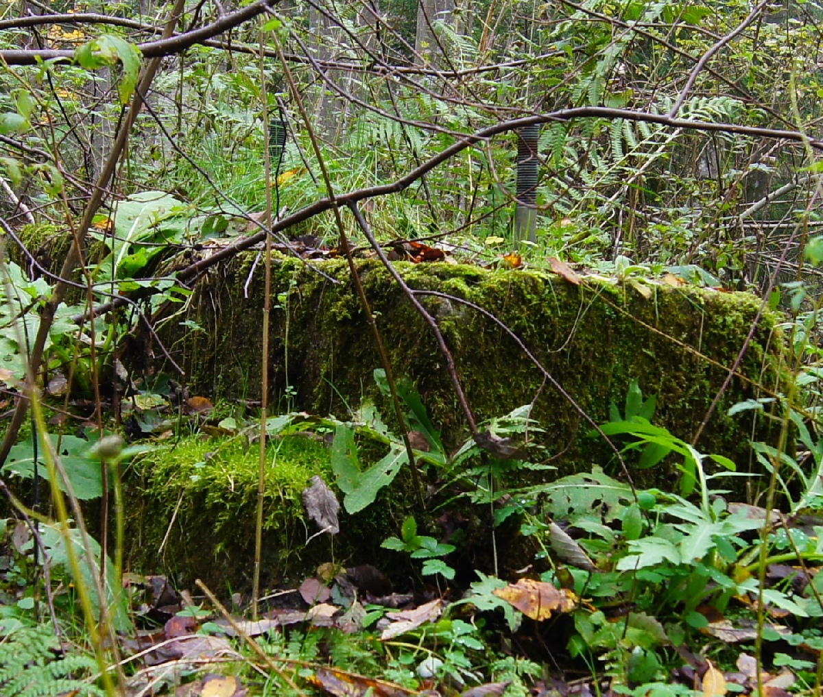 Наблюдательный пункт пво в Кикепера. 