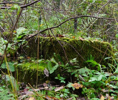 Остатки наблюдательноко пункта пво под Пярну