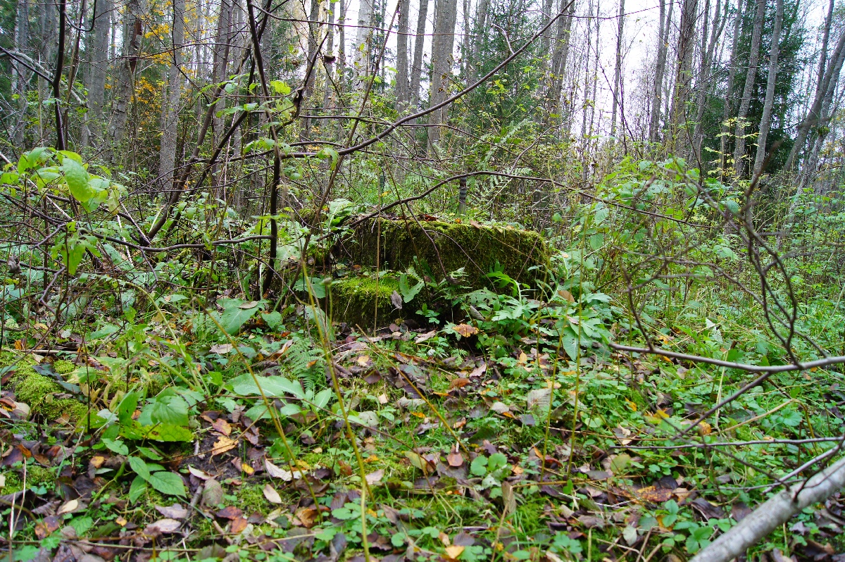  Наблюдательный пункт пво в Кикепера. 