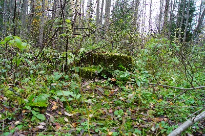 Остатки наблюдательноко пункта пво под Пярну