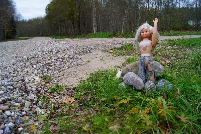 Остатки наблюдательноко пункта пво под Пярну