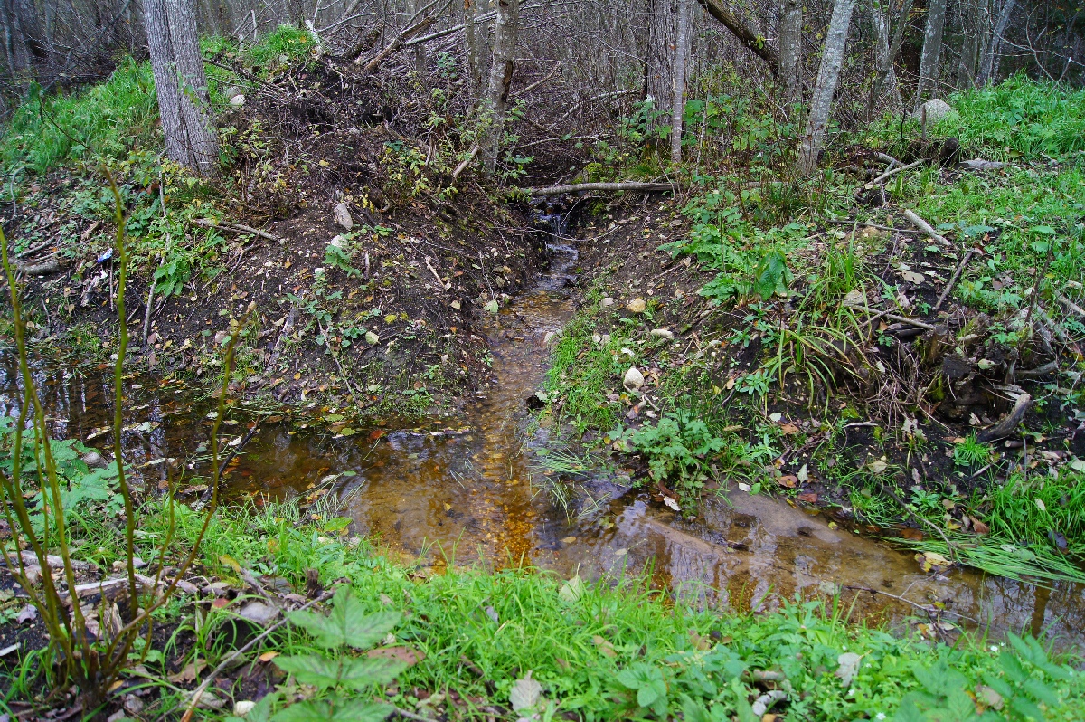 Канава.  Наблюдательный пункт пво в Кикепера. 