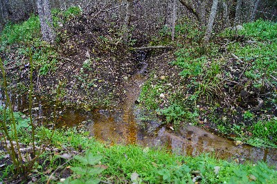 Остатки наблюдательноко пункта пво под Пярну