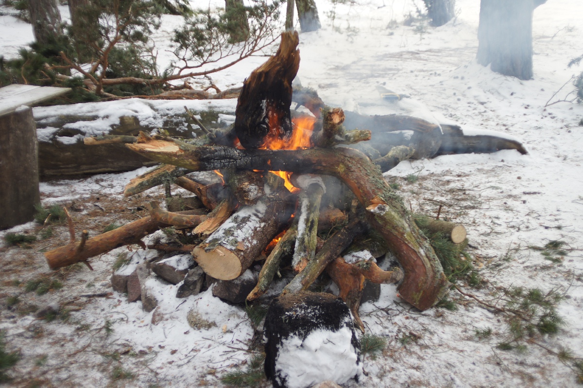 Костёр.  Зимний пляж Матси (Матсиранд). Matsi rand.