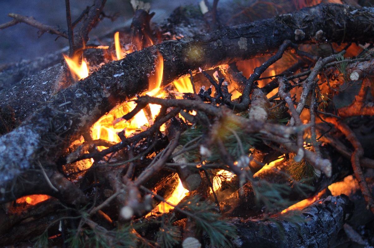 Костёр.  Зимний пляж Матси (Матсиранд). Matsi rand.