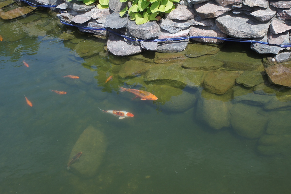 Лидо (Lido). Поездка в Латвию.