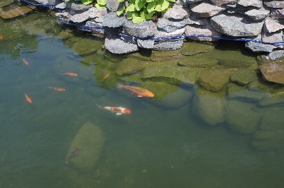 Поездка в Латвию