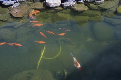 Поездка в Латвию