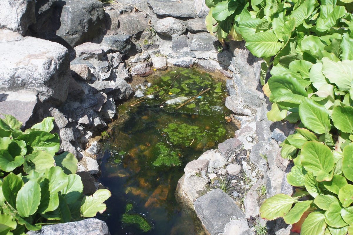 Лидо (Lido). Поездка в Латвию.