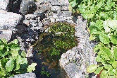 Поездка в Латвию