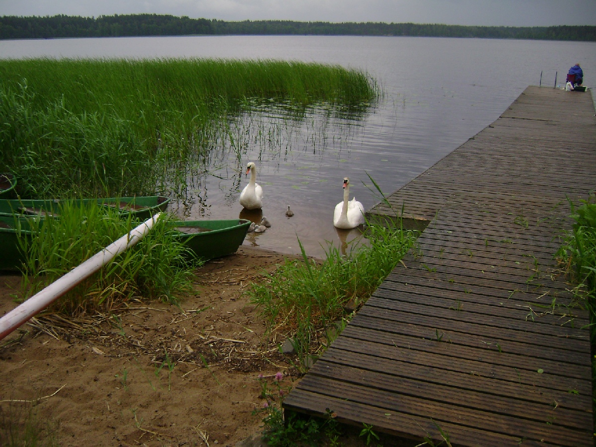 Кемпинг. Поездка в Латвию.