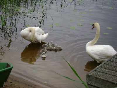 Поездка в Латвию
