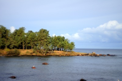 Пикник в Палдиски