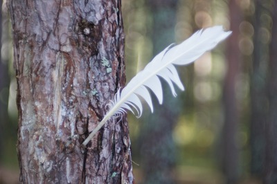 Пикник в Палдиски