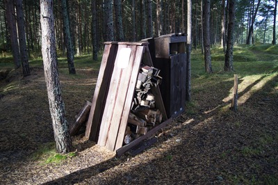 Пикник в Палдиски