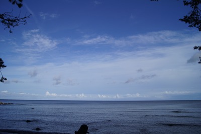 Пикник в Палдиски