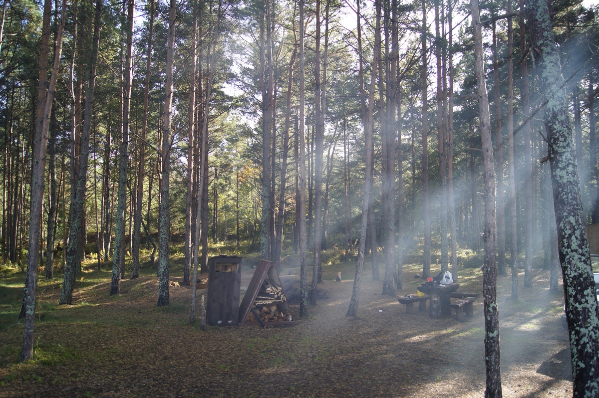  Пикник в Палдиски. RMK Paldiski. Lõkkekoht Paldiski. 