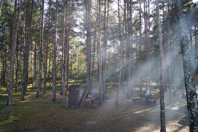 Пикник в Палдиски
