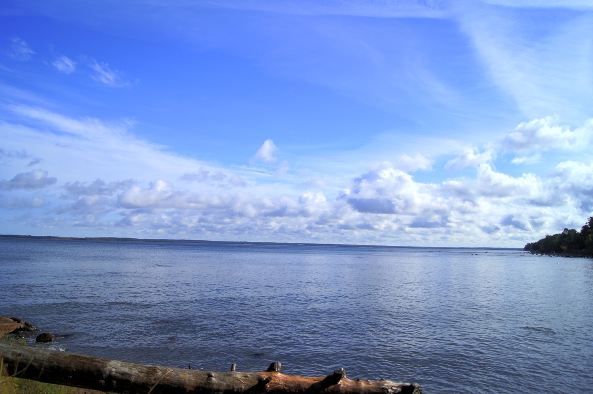  Пикник в Палдиски. RMK Paldiski. Lõkkekoht Paldiski. 