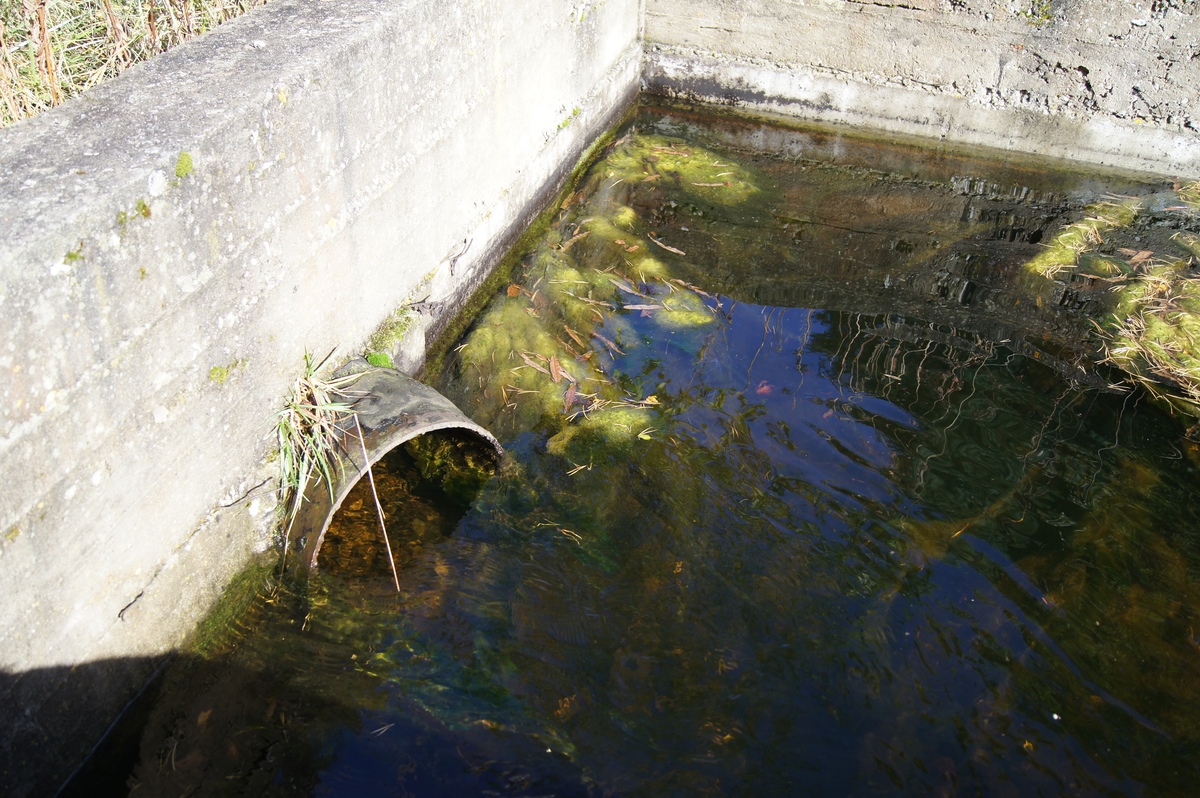  Пикник в Палдиски. RMK Paldiski. Lõkkekoht Paldiski. 