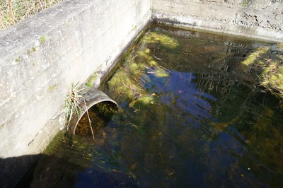 Пикник в Палдиски