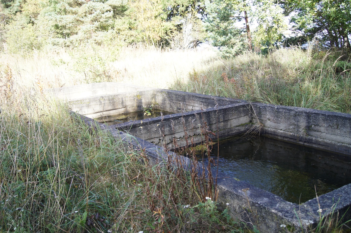  Пикник в Палдиски. RMK Paldiski. Lõkkekoht Paldiski. 