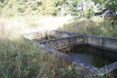 Пикник в Палдиски