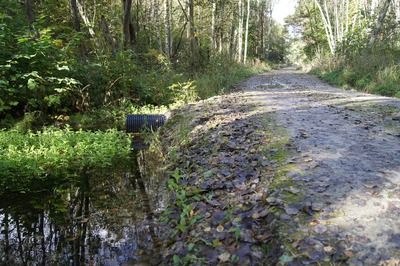 Пикник в Палдиски