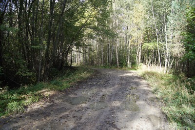 Пикник в Палдиски