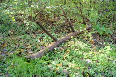 Пикник в Палдиски