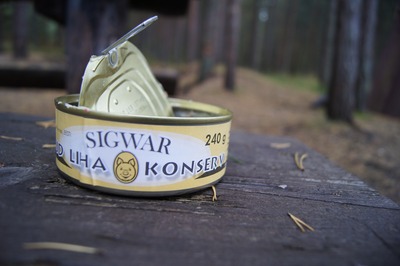 Пикник в Палдиски