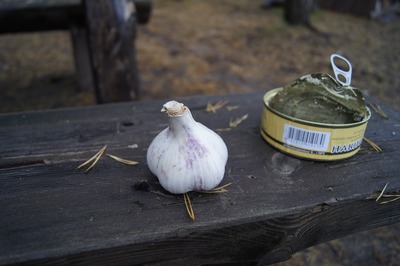 Пикник в Палдиски