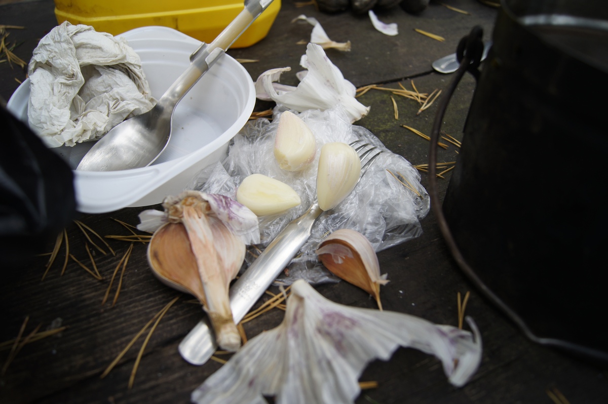 Чеснок (Allium sativum), Пикник в Палдиски. RMK Paldiski. Lõkkekoht Paldiski. 