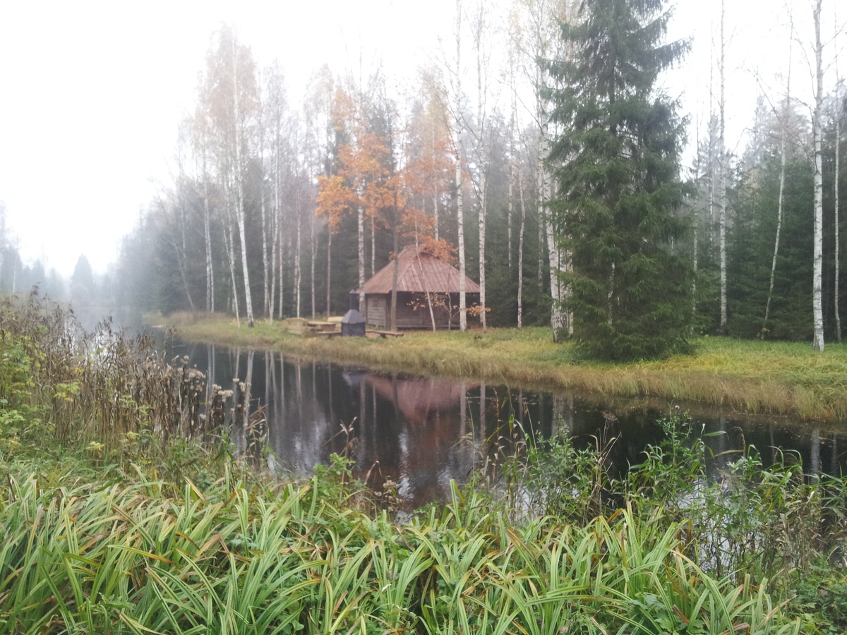 Kopra tare metsaonn.  Разведка пикниковых мест RMK.