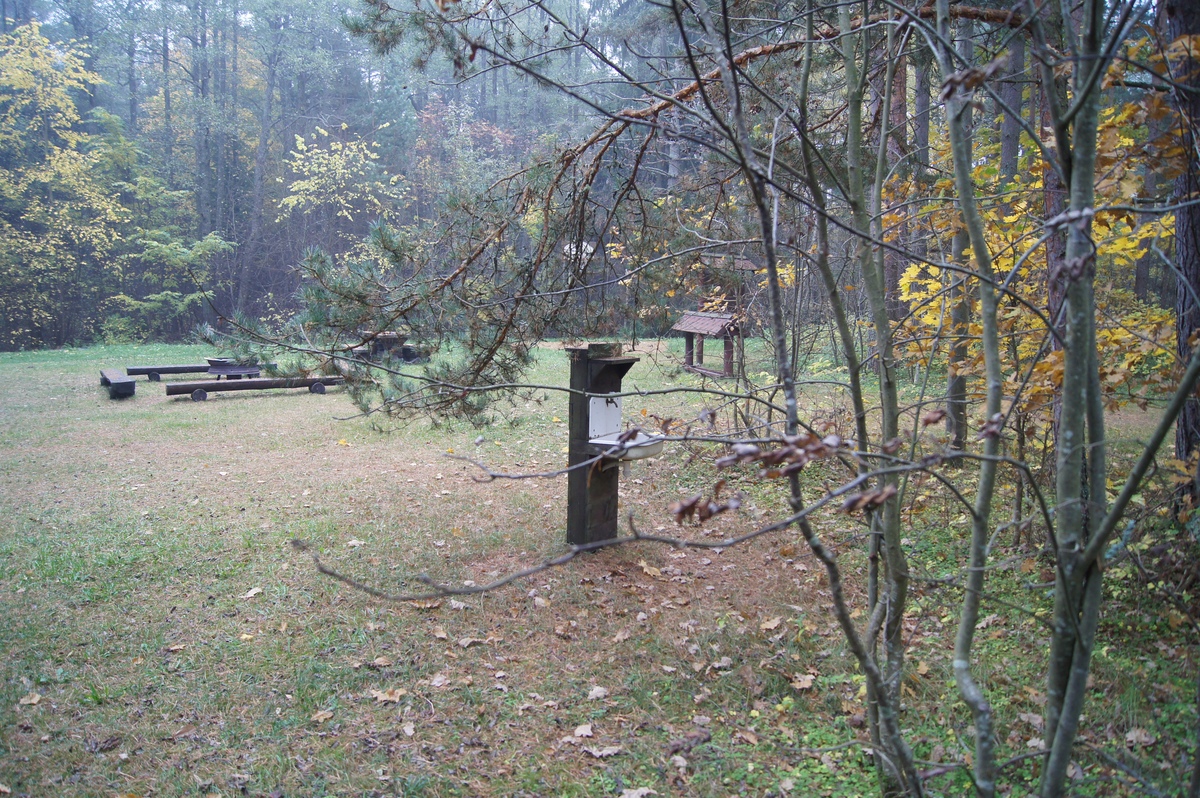 Priivitsa lõkkekoht (место для костра), Kabli looduskeskus (природный центр). Разведка пикниковых мест RMK.