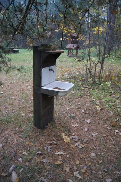 Разведка пикниковых мест под Пярну