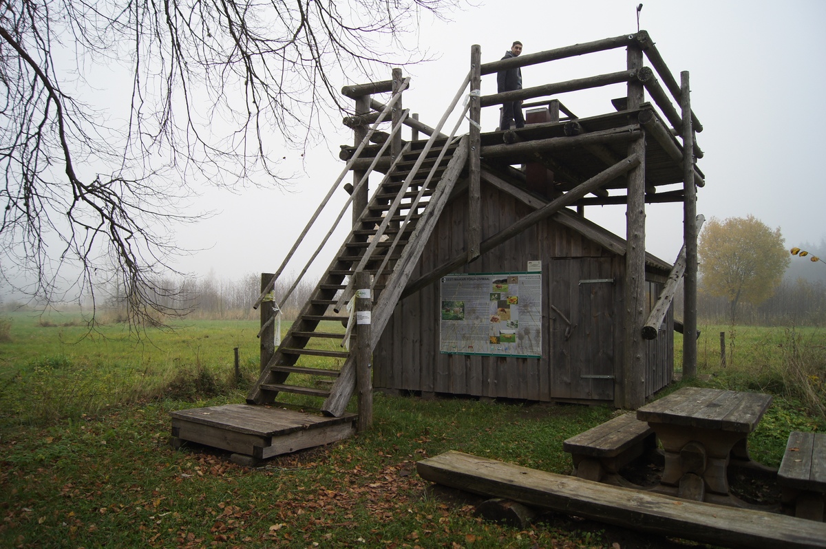 Kaubaru metsaonn. Разведка пикниковых мест RMK.