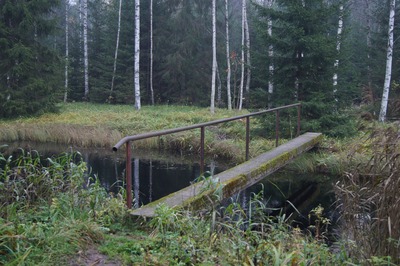 Разведка пикниковых мест под Пярну