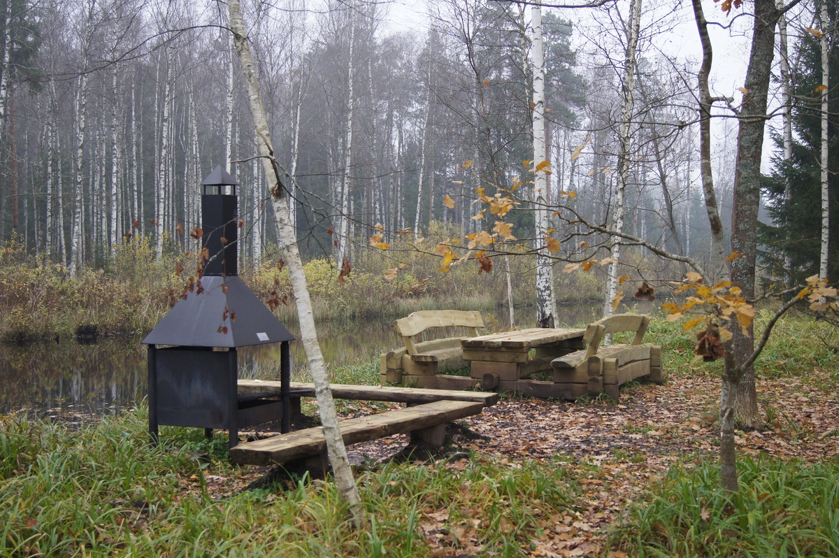 Kopra tare metsaonn.  Разведка пикниковых мест RMK.