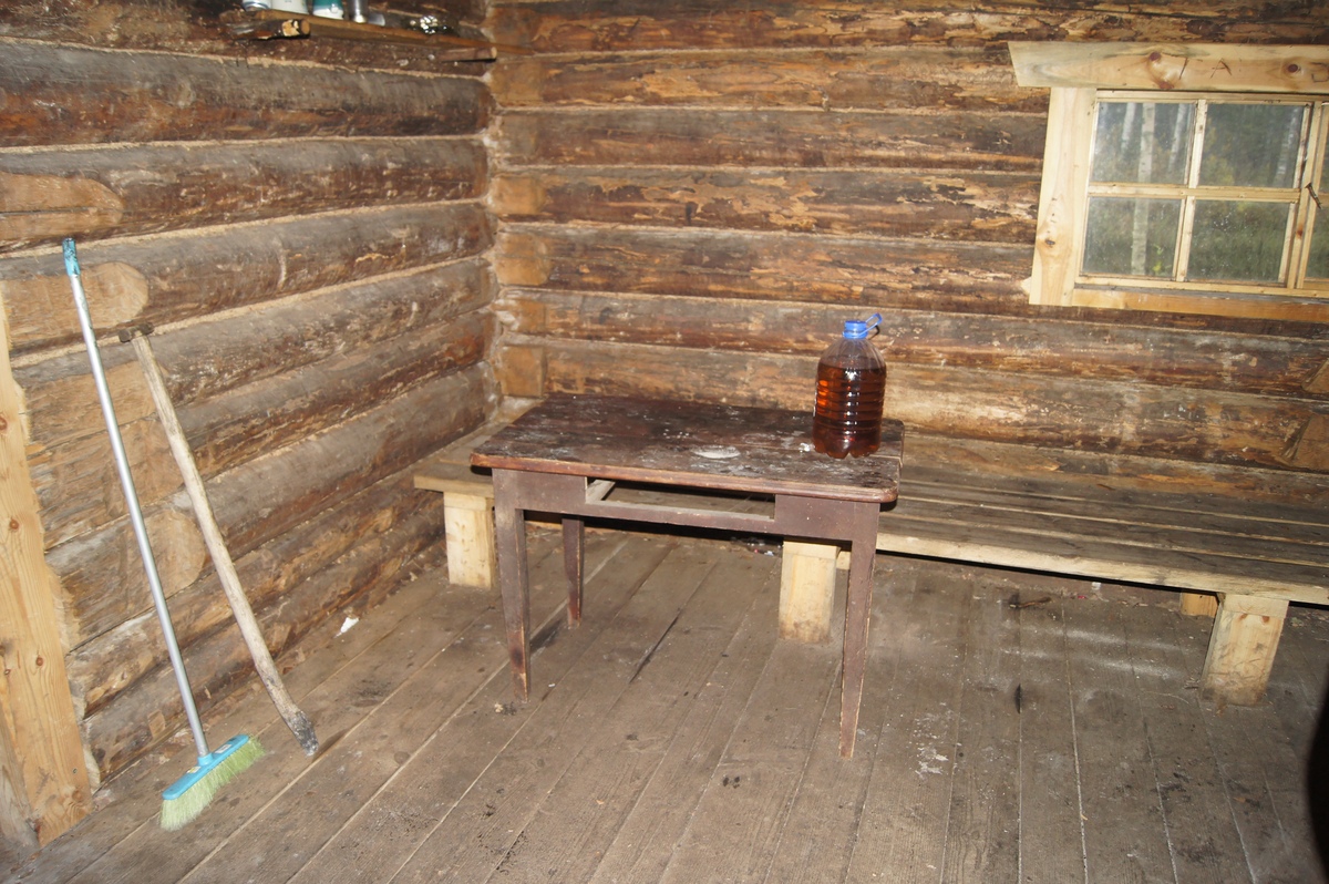 Kopra tare metsaonn.  Разведка пикниковых мест RMK.