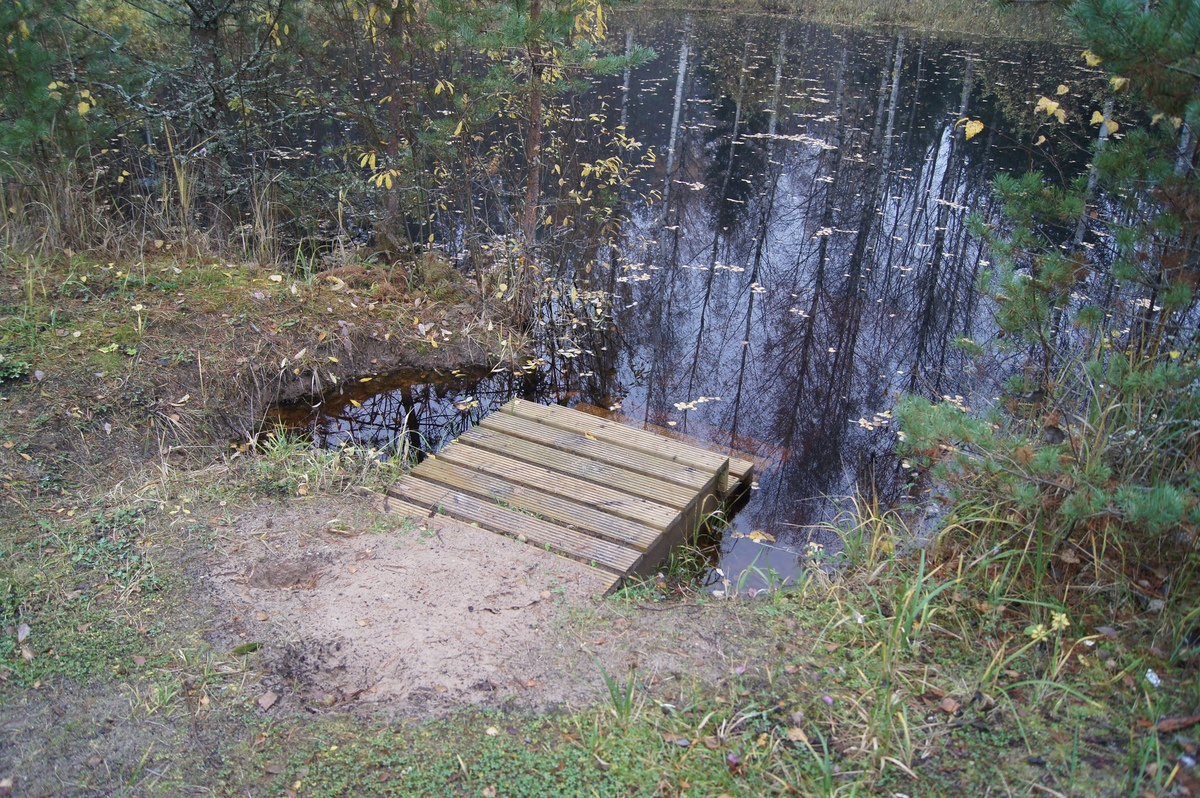 Katku lõkkekoht. Разведка пикниковых мест RMK.