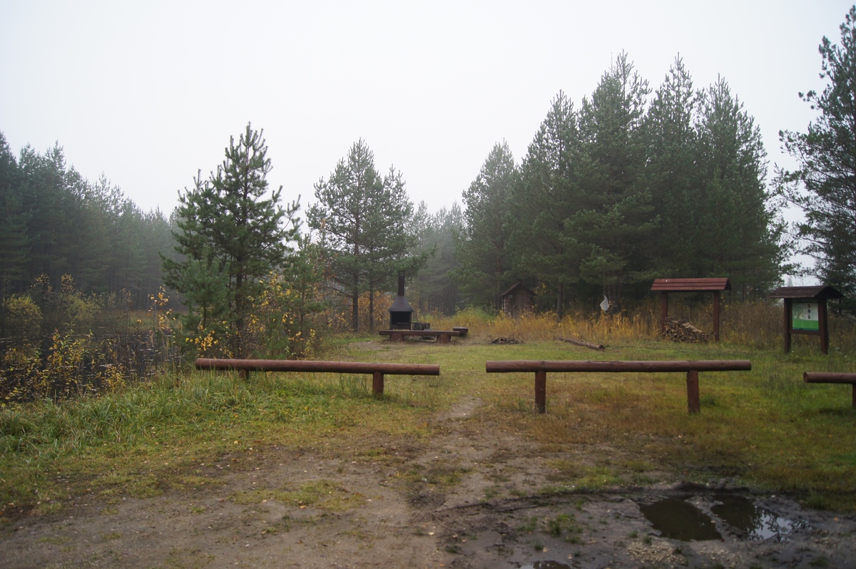 Katku lõkkekoht. Разведка пикниковых мест RMK.