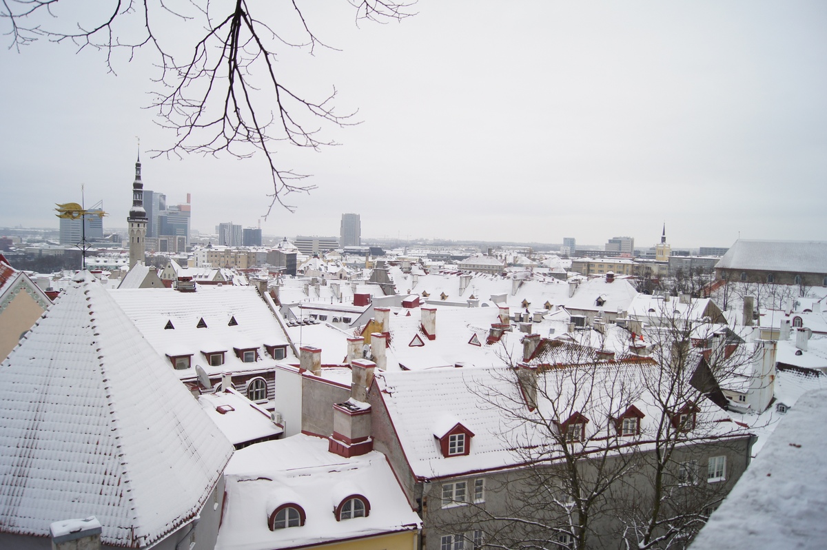  Прогулка по Таллинну,